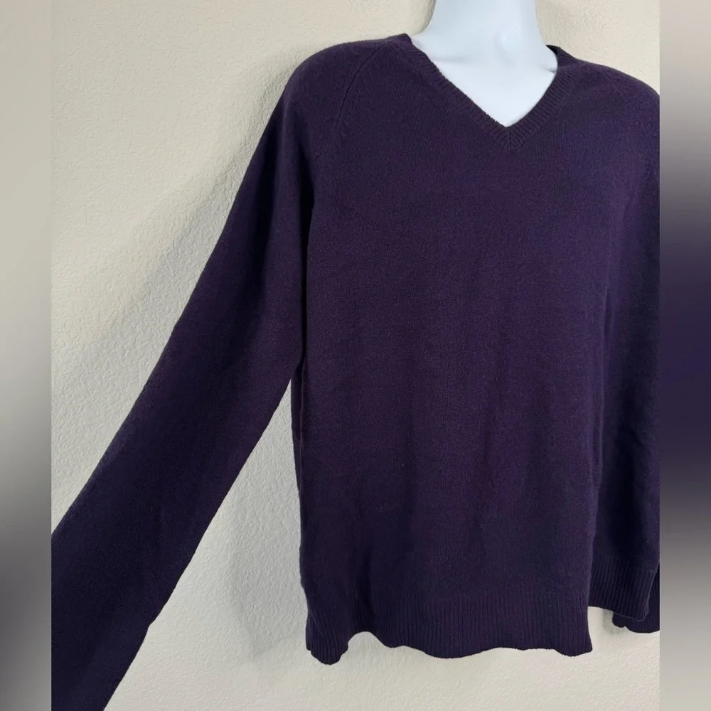 J.Crew 100%‎ Lambswool V-Neck Sweater Men’s XL Purple Minimalist Office Layer
